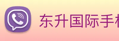 东升国际手机版下载 logo